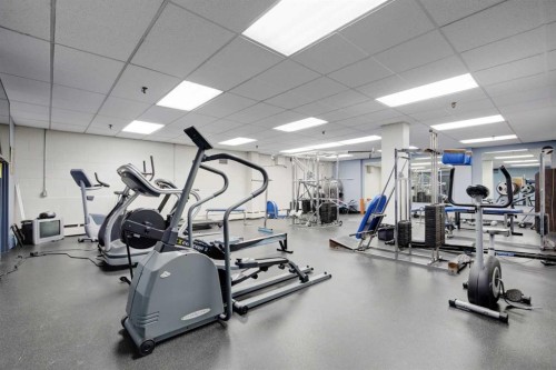 207-339 13 Avenue Sw, Calgary, AB - Indoor Photo Showing Gym Room