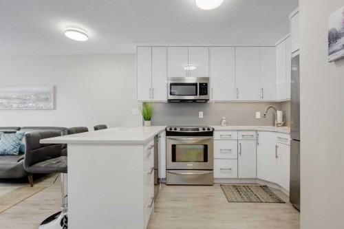207-339 13 Avenue Sw, Calgary, AB - Indoor Photo Showing Kitchen