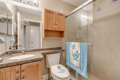 2848 Dovely Park Se, Calgary, AB - Indoor Photo Showing Bathroom