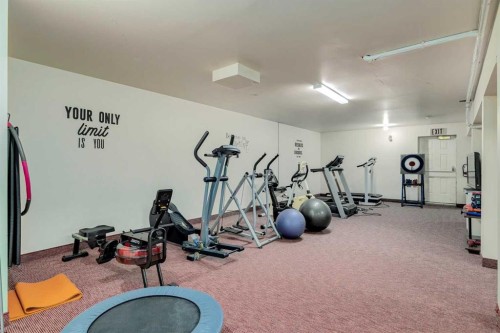 2848 Dovely Park Se, Calgary, AB - Indoor Photo Showing Gym Room