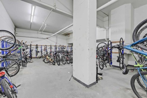 1807-1053 10 Street Sw, Calgary, AB - Indoor