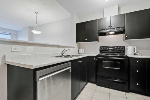 1807-1053 10 Street Sw, Calgary, AB - Indoor Photo Showing Kitchen With Double Sink