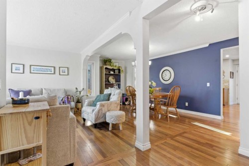 239 Sandpiper Place Nw, Calgary, AB - Indoor Photo Showing Living Room