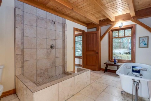 10-32376 Highway 760, Rural Mountain View County, AB - Indoor Photo Showing Bathroom