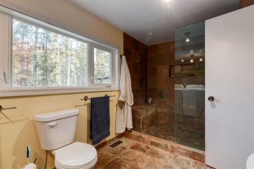 10-32376 Highway 760, Rural Mountain View County, AB - Indoor Photo Showing Bathroom