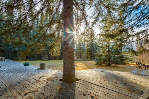 10-32376 Highway 760, Rural Mountain View County, AB - Outdoor