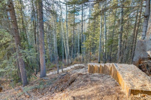 10-32376 Highway 760, Rural Mountain View County, AB - Outdoor With View