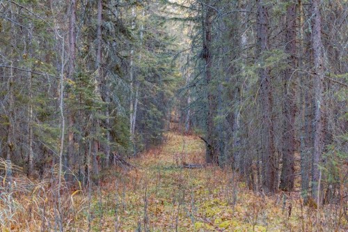 10-32376 Highway 760, Rural Mountain View County, AB - Outdoor With View