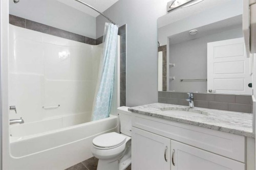 132 Kingsbury Close Se, Airdrie, AB - Indoor Photo Showing Bathroom