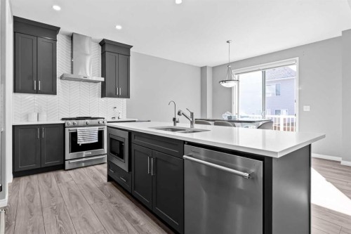 95 Carrington Close Nw, Calgary, AB - Indoor Photo Showing Kitchen With Double Sink With Upgraded Kitchen