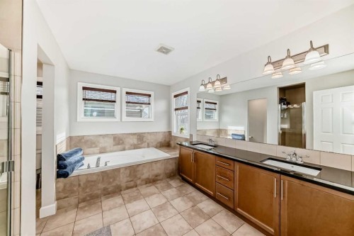 104 Viewpointe Terrace, Chestermere, AB - Indoor Photo Showing Bathroom