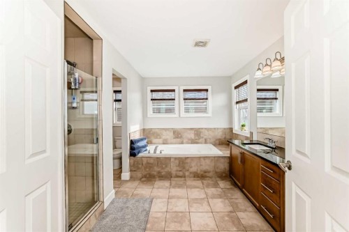 104 Viewpointe Terrace, Chestermere, AB - Indoor Photo Showing Bathroom
