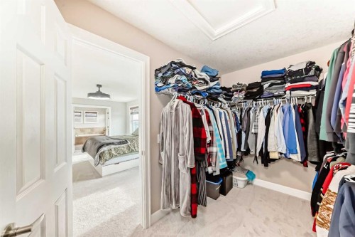104 Viewpointe Terrace, Chestermere, AB - Indoor With Storage