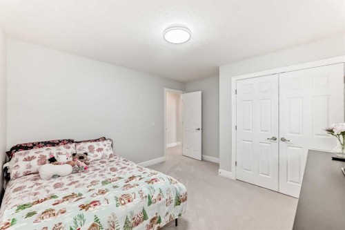 104 Viewpointe Terrace, Chestermere, AB - Indoor Photo Showing Bedroom