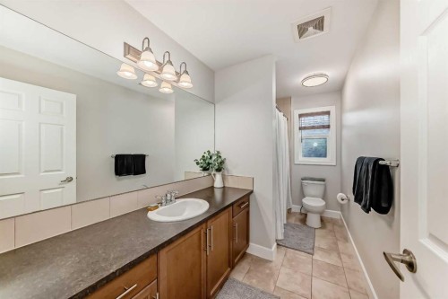 104 Viewpointe Terrace, Chestermere, AB - Indoor Photo Showing Bathroom