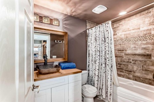 104 Viewpointe Terrace, Chestermere, AB - Indoor Photo Showing Bathroom