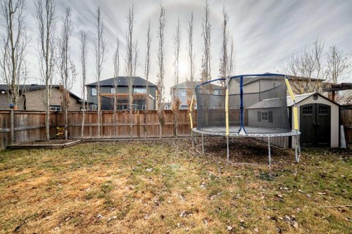 104 Viewpointe Terrace, Chestermere, AB - Outdoor