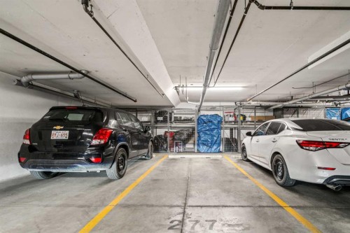 4314-200 Seton Circle Se, Calgary, AB - Indoor Photo Showing Garage