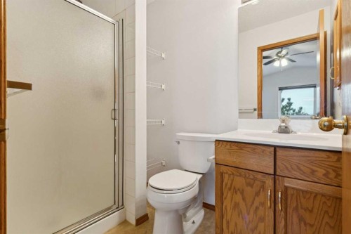 228 Macewan Park View Nw, Calgary, AB - Indoor Photo Showing Bathroom