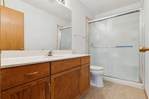 228 Macewan Park View Nw, Calgary, AB - Indoor Photo Showing Bathroom