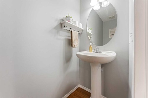 146 Copperstone Grove Se, Calgary, AB - Indoor Photo Showing Bathroom