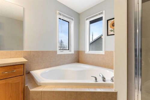 146 Copperstone Grove Se, Calgary, AB - Indoor Photo Showing Bathroom