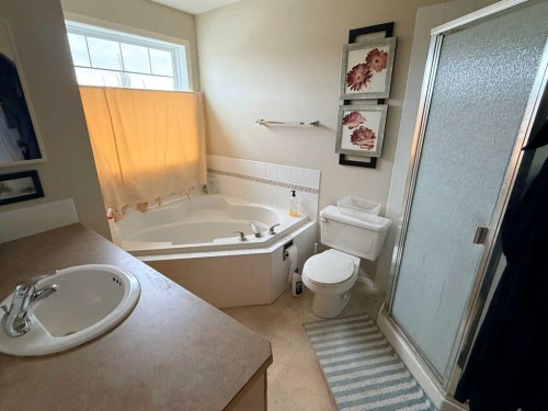 61 Everwoods Close Sw, Calgary, AB - Indoor Photo Showing Bathroom