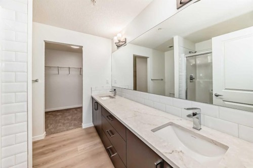 212-245 Edith Place Nw, Calgary, AB - Indoor Photo Showing Bathroom