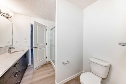 212-245 Edith Place Nw, Calgary, AB - Indoor Photo Showing Bathroom