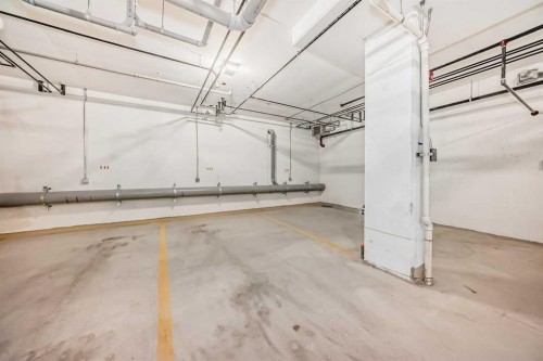 212-245 Edith Place Nw, Calgary, AB - Indoor Photo Showing Garage