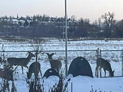 2427 Deer Side Drive, Calgary, AB - Outdoor With View