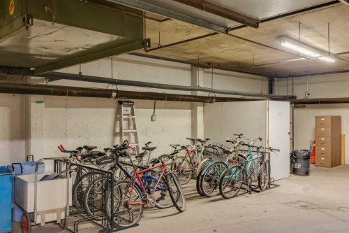 2D-215 2 Street Ne, Calgary, AB - Indoor Photo Showing Garage