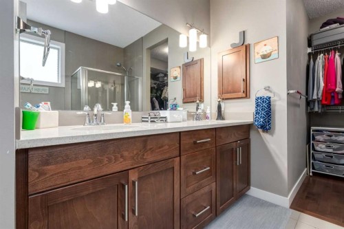 125 Walden Rise Se, Calgary, AB - Indoor Photo Showing Bathroom