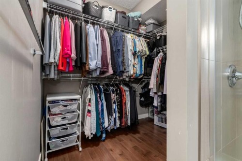 125 Walden Rise Se, Calgary, AB - Indoor With Storage