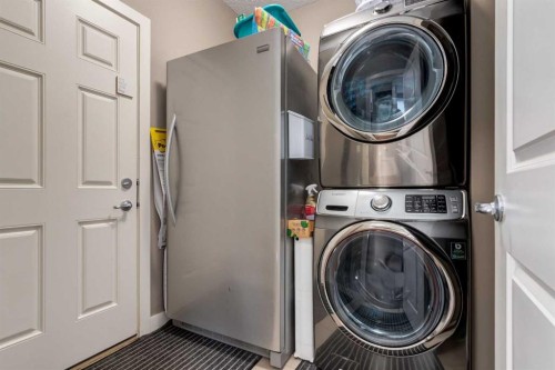 125 Walden Rise Se, Calgary, AB - Indoor Photo Showing Laundry Room