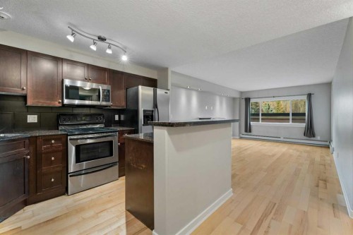404-728 3 Avenue Nw, Calgary, AB - Indoor Photo Showing Kitchen