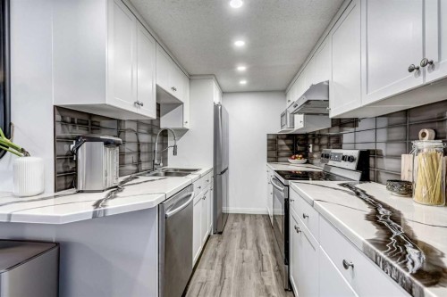 38-1055 72 Avenue Nw, Calgary, AB - Indoor Photo Showing Kitchen With Double Sink
