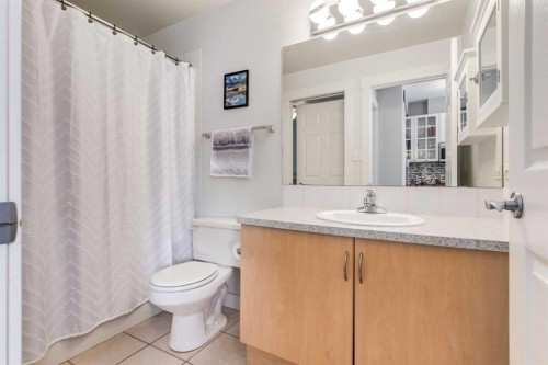 201-3501 15 Street Sw, Calgary, AB - Indoor Photo Showing Bathroom