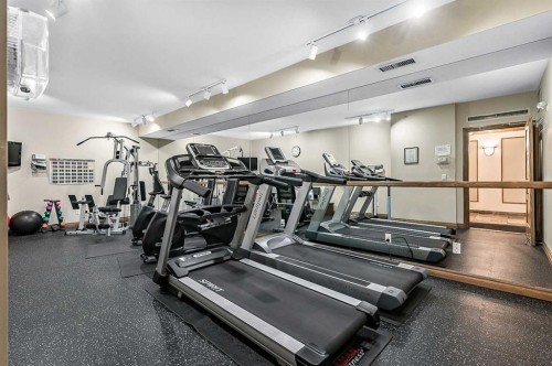 1204-1204 Lake Fraser Court Se, Calgary, AB - Indoor Photo Showing Gym Room