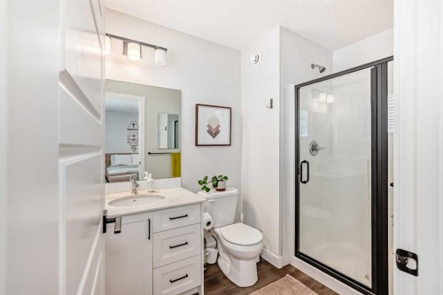 231 Legacy Glen Way Se, Calgary, AB - Indoor Photo Showing Bathroom