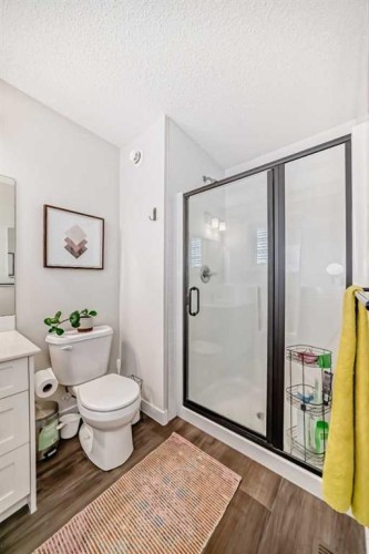 231 Legacy Glen Way Se, Calgary, AB - Indoor Photo Showing Bathroom