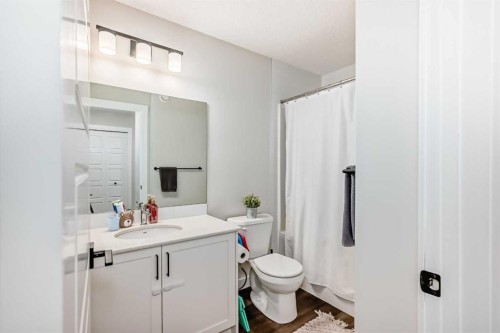 231 Legacy Glen Way Se, Calgary, AB - Indoor Photo Showing Bathroom