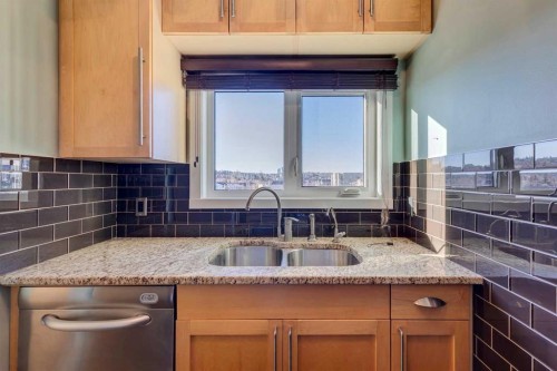 404-1334 12 Avenue Sw, Calgary, AB - Indoor Photo Showing Kitchen With Double Sink