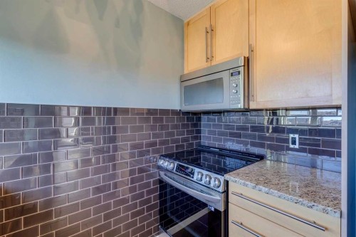 404-1334 12 Avenue Sw, Calgary, AB - Indoor Photo Showing Kitchen
