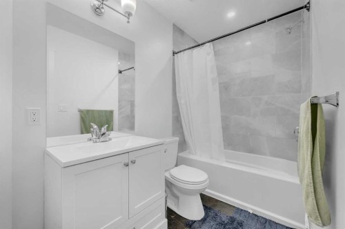 208 Cornergate Row Ne, Calgary, AB - Indoor Photo Showing Bathroom