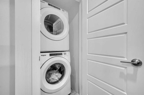 208 Cornergate Row Ne, Calgary, AB - Indoor Photo Showing Laundry Room