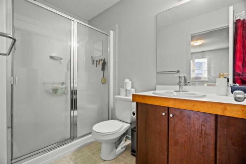 179 Copperstone Cove Se, Calgary, AB - Indoor Photo Showing Bathroom
