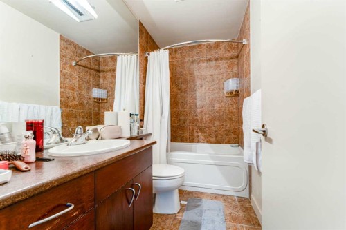 109-8710 Horton Road Sw, Calgary, AB - Indoor Photo Showing Bathroom