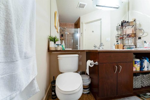 109-8710 Horton Road Sw, Calgary, AB - Indoor Photo Showing Bathroom