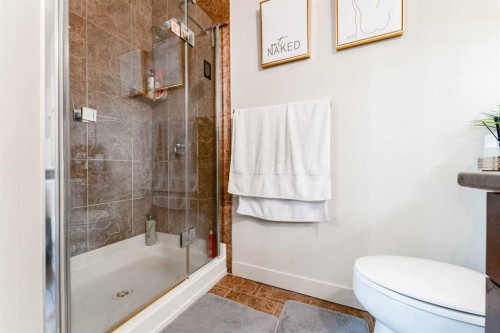 109-8710 Horton Road Sw, Calgary, AB - Indoor Photo Showing Bathroom